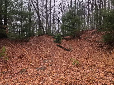 lot105 Pepper Bush Rd, Purlear, NC 28665 photo 5
