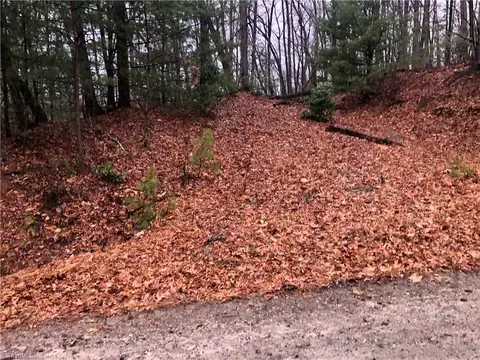 lot105 Pepper Bush Rd, Purlear, NC 28665 photo 3