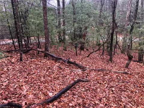 lot105 Pepper Bush Rd, Purlear, NC 28665 photo 10
