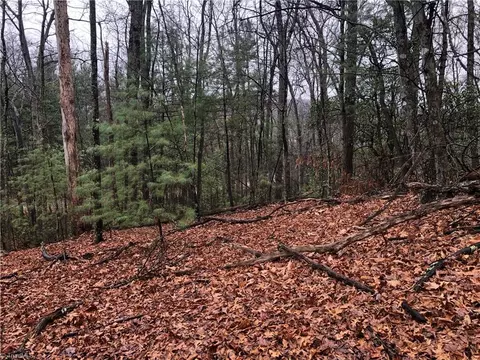 lot105 Pepper Bush Rd, Purlear, NC 28665 photo 9