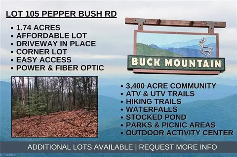 lot105 Pepper Bush Rd, Purlear, NC 28665
