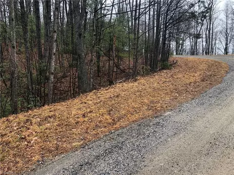 lot105 Pepper Bush Rd, Purlear, NC 28665 photo 7