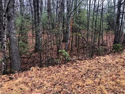 lot105 Pepper Bush Rd, Purlear, NC 28665 photo 8