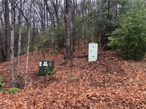 lot105 Pepper Bush Rd, Purlear, NC 28665 photo 6