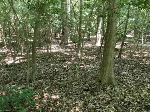 00 Bennett Rd, Bennett, NC 27208 photo 33
