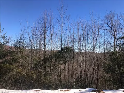 tbd Fletchers Cove Rd, Purlear, NC 28665