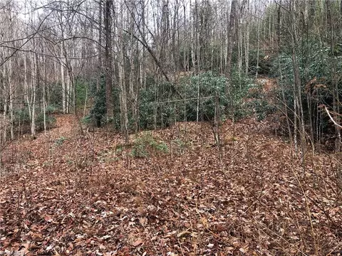 lot222 B Casey Mountain Rd, Purlear, NC 28665 photo 14