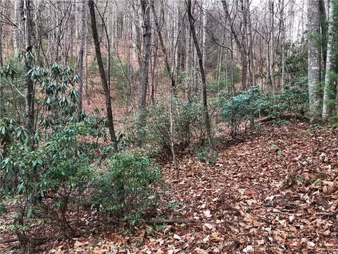 lot222 B Casey Mountain Rd, Purlear, NC 28665 photo 15