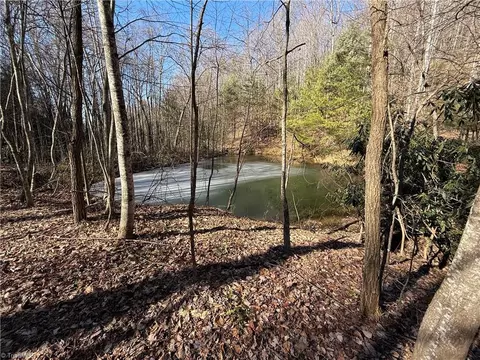 lot222 B Casey Mountain Rd, Purlear, NC 28665 photo 3