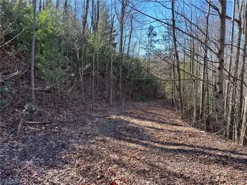 lot222 B Casey Mountain Rd, Purlear, NC 28665 photo 17