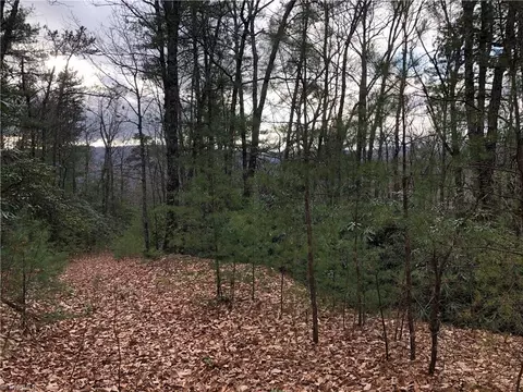 lot222 B Casey Mountain Rd, Purlear, NC 28665 photo 18
