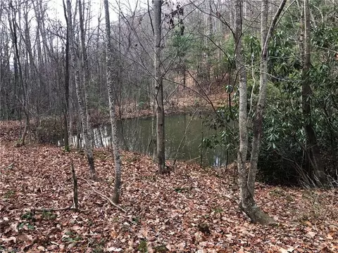 lot222 B Casey Mountain Rd, Purlear, NC 28665 photo 16