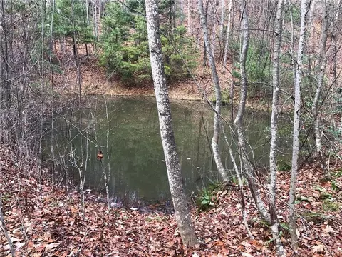 lot222 B Casey Mountain Rd, Purlear, NC 28665