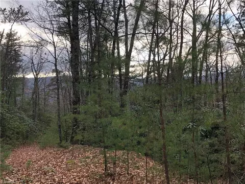 lot222 B Casey Mountain Rd, Purlear, NC 28665 photo 4