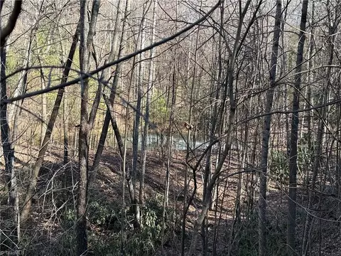 lot222 B Casey Mountain Rd, Purlear, NC 28665 photo 20