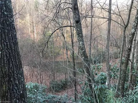 lot222 B Casey Mountain Rd, Purlear, NC 28665 photo 10