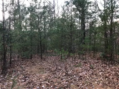 lot222 B Casey Mountain Rd, Purlear, NC 28665 photo 13