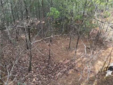 lot19 Wolf Pen Rd, Purlear, NC 28665 photo 17
