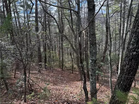 lot19 Wolf Pen Rd, Purlear, NC 28665 photo 4