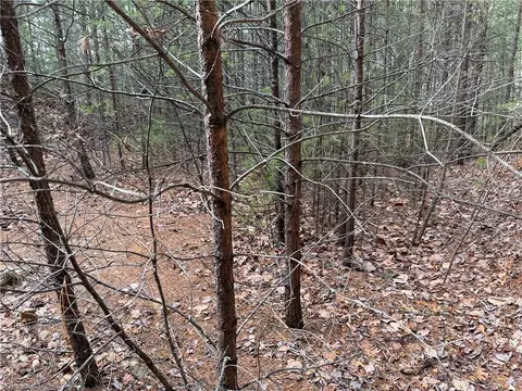lot19 Wolf Pen Rd, Purlear, NC 28665 photo 12