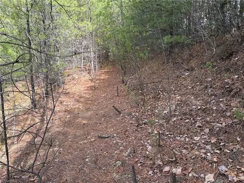 lot19 Wolf Pen Rd, Purlear, NC 28665 photo 18