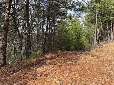 lot19 Wolf Pen Rd, Purlear, NC 28665 photo 6