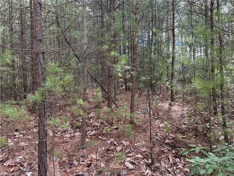 lot19 Wolf Pen Rd, Purlear, NC 28665 photo 9