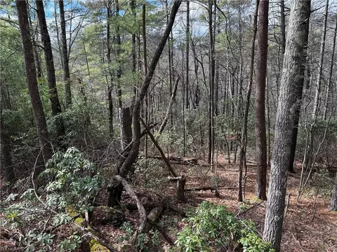 lot19 Wolf Pen Rd, Purlear, NC 28665 photo 19
