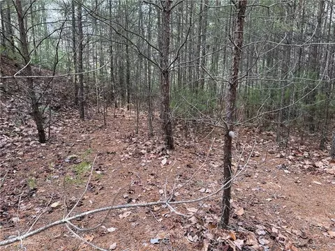 lot19 Wolf Pen Rd, Purlear, NC 28665 photo 14