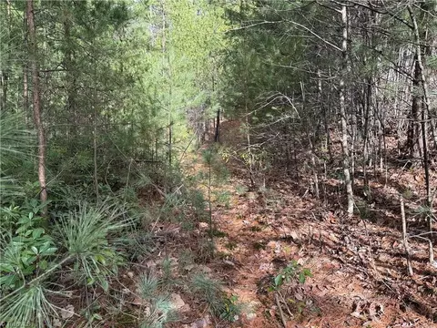 lot19 Wolf Pen Rd, Purlear, NC 28665 photo 7