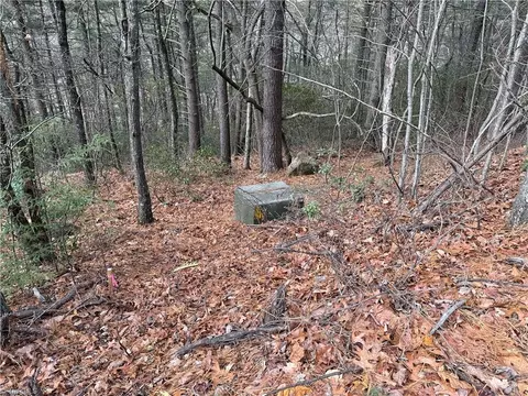 lot19 Wolf Pen Rd, Purlear, NC 28665 photo 3
