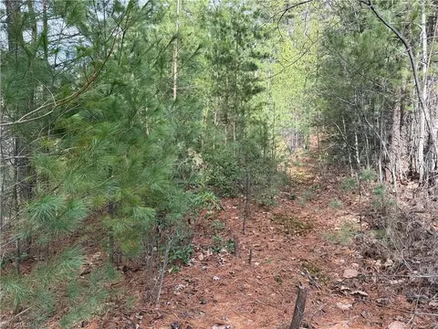 lot19 Wolf Pen Rd, Purlear, NC 28665 photo 15