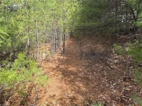 lot19 Wolf Pen Rd, Purlear, NC 28665 photo 16