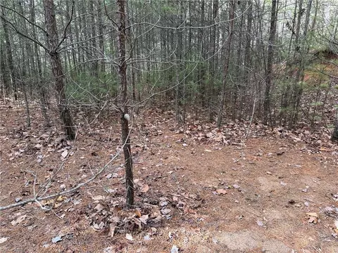 lot19 Wolf Pen Rd, Purlear, NC 28665 photo 13