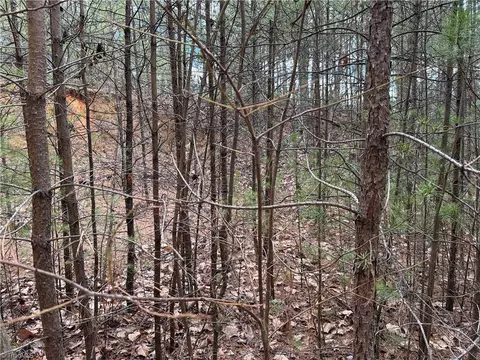 lot19 Wolf Pen Rd, Purlear, NC 28665 photo 11