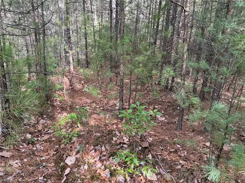 lot19 Wolf Pen Rd, Purlear, NC 28665 photo 8