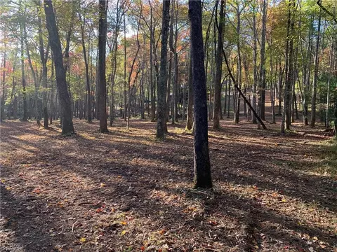 Exterior - 336 Mcintosh Dr, Lowgap, NC 27024 photo 3 of 5