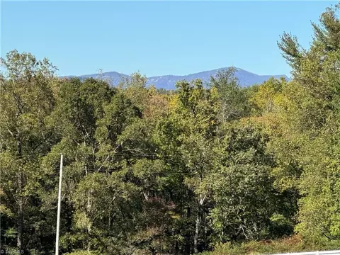 115 Rippling Water Ln, Dobson, NC 27017 photo 3