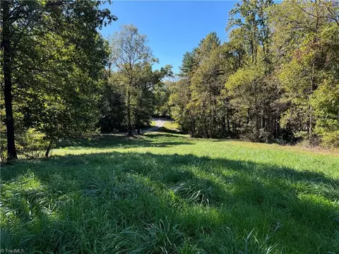 115 Rippling Water Ln, Dobson, NC 27017 photo 13