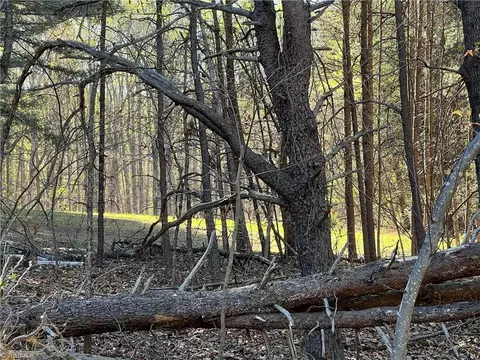 00 Rob Tom Rd, Eden, NC 27288 photo 9