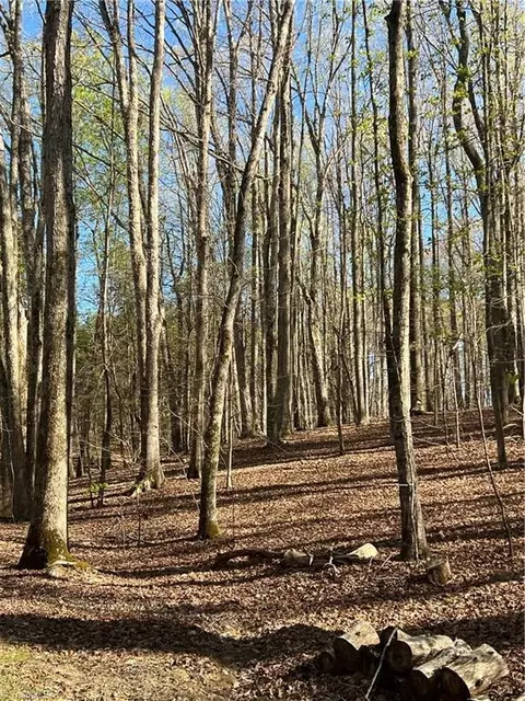 00 Rob Tom Rd, Eden, NC 27288 photo 3