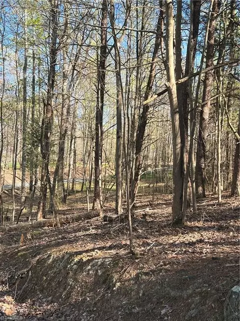 00 Rob Tom Rd, Eden, NC 27288 photo 6