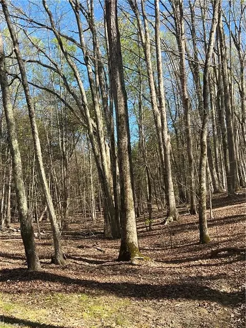 00 Rob Tom Rd, Eden, NC 27288 photo 4
