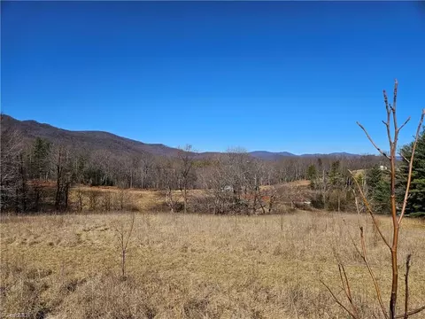 0 Stayman Ln, Stuart, VA 24171 photo 16