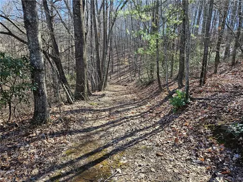 0 Stayman Ln, Stuart, VA 24171 photo 17