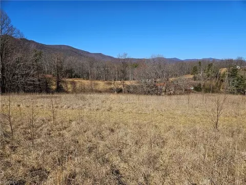 0 Stayman Ln, Stuart, VA 24171 photo 6