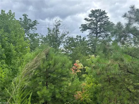 tbd Lobelia Ln, Boone, NC 28607