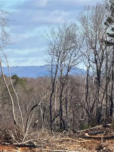 00 Money Rd, Dobson, NC 27017