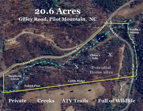nn Gilley Road #20.63 ACRES, Pilot Mountain, NC 27041