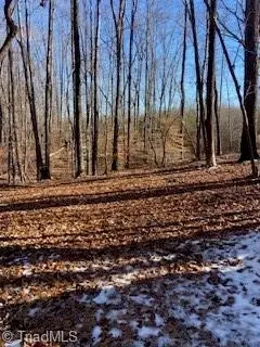 00 Unicorn Rd, Reidsville, NC 27320